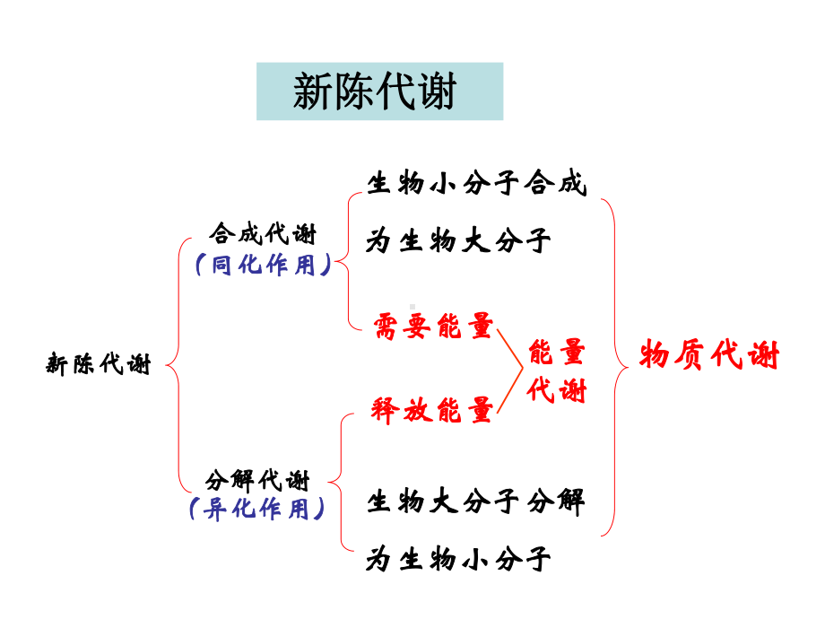 新陈代谢总论与生物氧化课件(1)-2.ppt_第3页