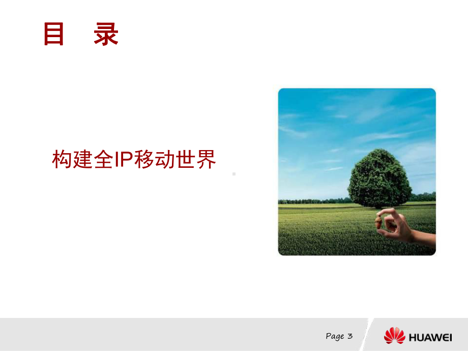 某全IP战略宣讲课件.ppt_第3页