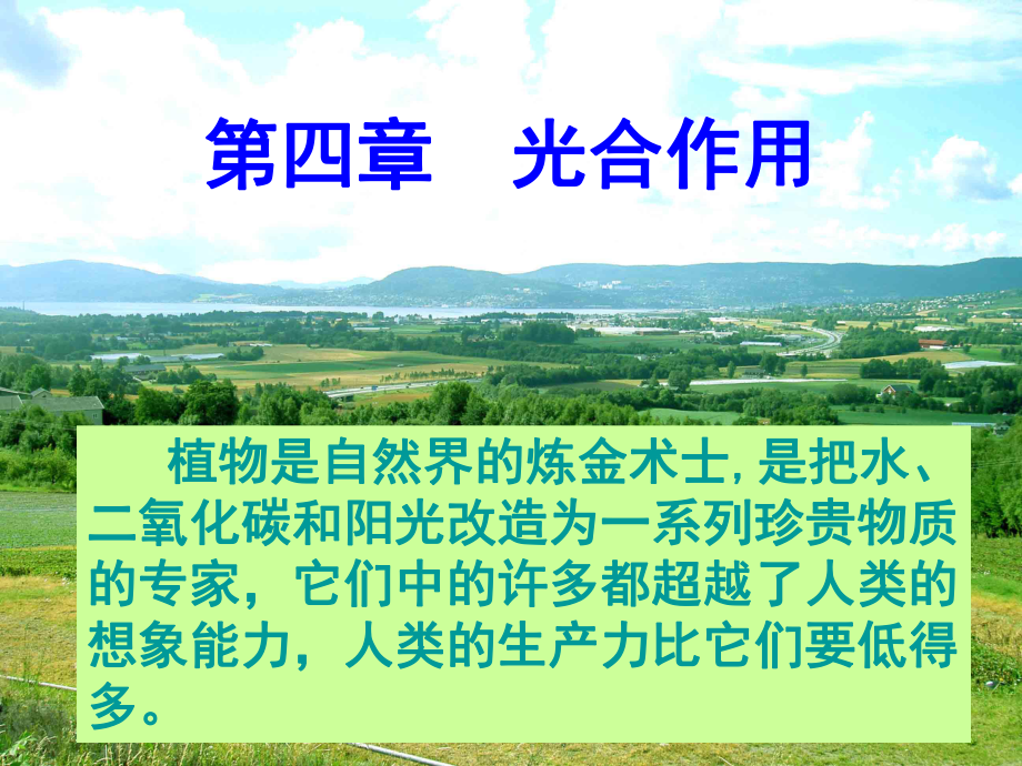 植物学光合作用课件.ppt_第1页