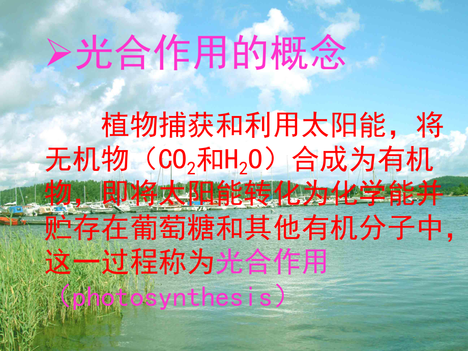 植物学光合作用课件.ppt_第3页