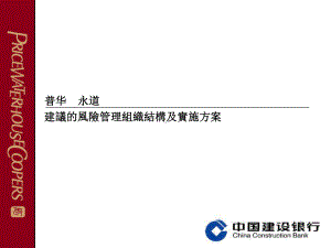 普华永道建议的风险管理组织结构及实施课件.ppt