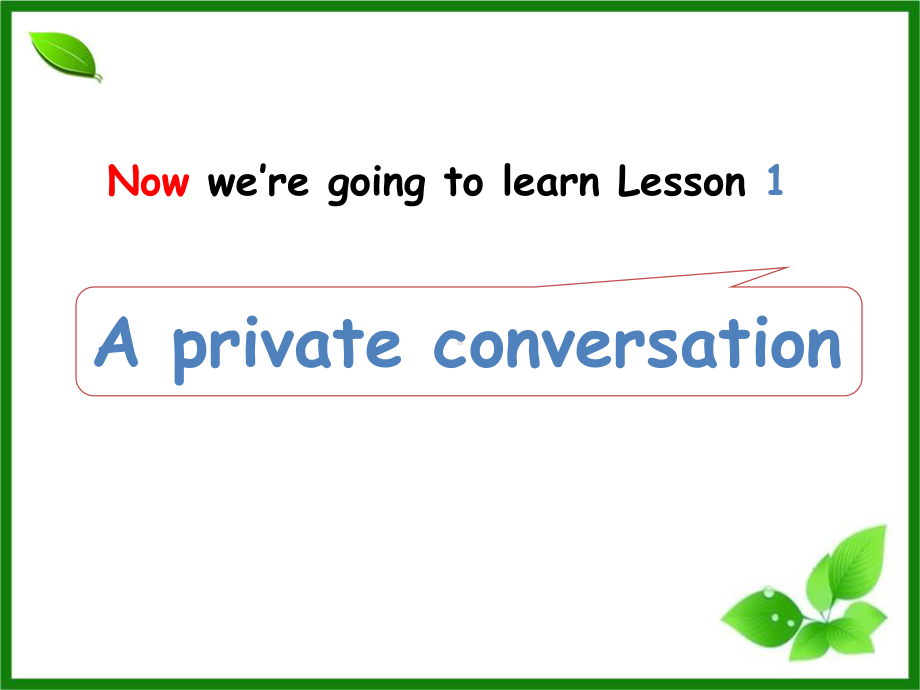 新概念2Lesson1Aprivateconversation课件(共29张).ppt_第1页