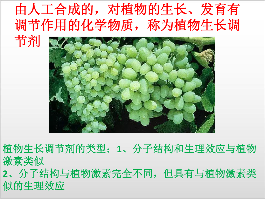 新教材《植物生长调节剂的应用》优秀课件人教版1.pptx_第3页