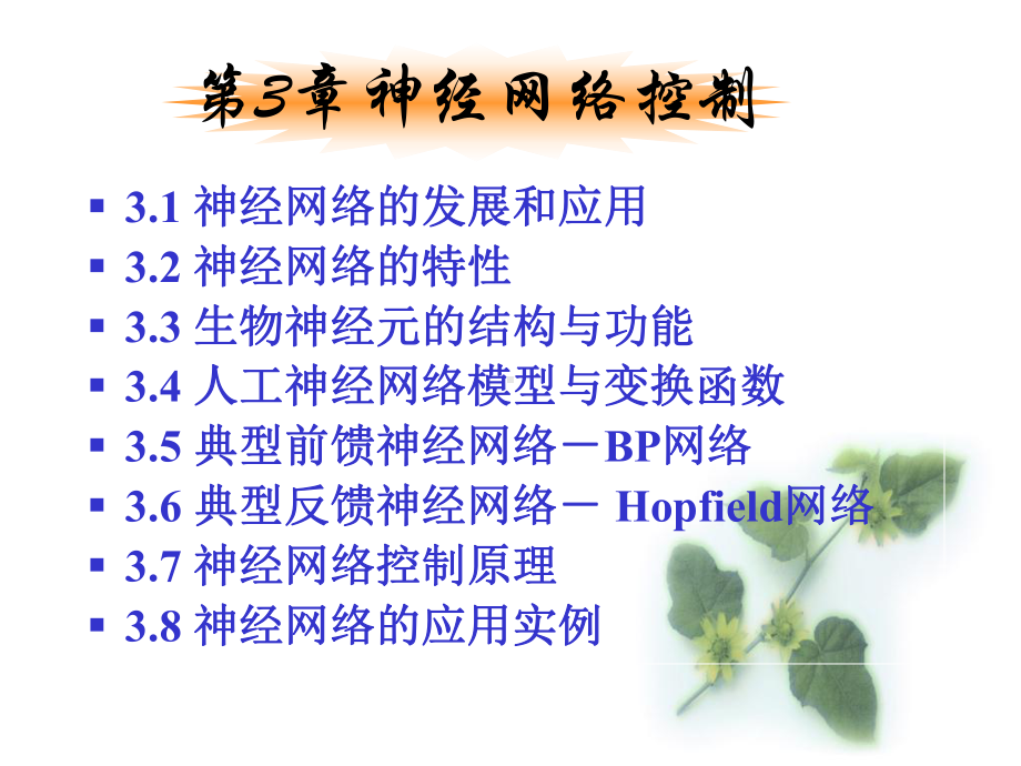 智能控制理论教案3神经网络控制12版课件.ppt_第2页