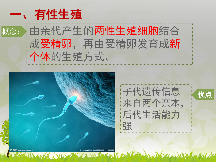 植物的生殖方式PPT课件1-北师大版优秀课件.pptx_第3页