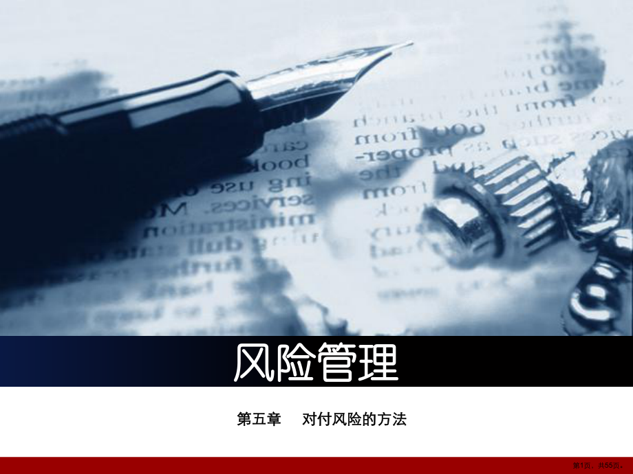 对付风险的方法.课件.ppt_第1页