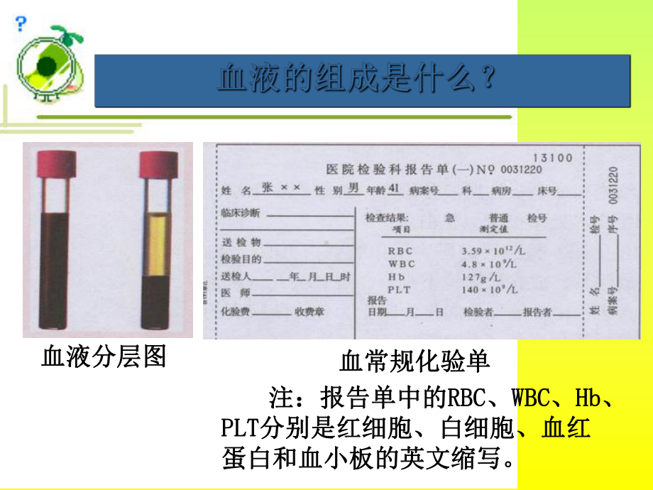 流动的组织血液》课件.ppt_第3页