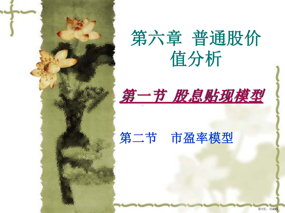 普通股价值分析精选课件.ppt_第1页