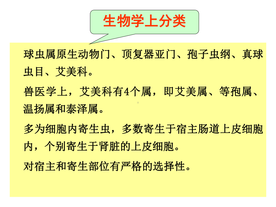 新编禽病学球虫病课件.ppt_第3页