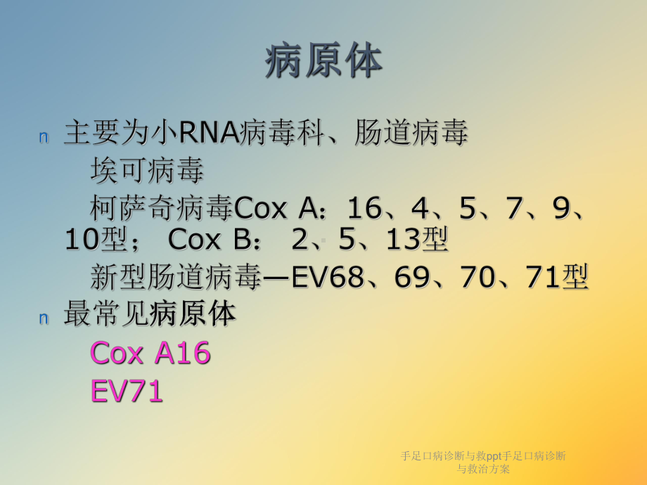 手足口病诊断与救手足口病诊断与救治课件.ppt_第3页