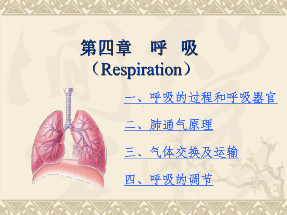 家畜生理学第五章呼吸课件.ppt_第1页