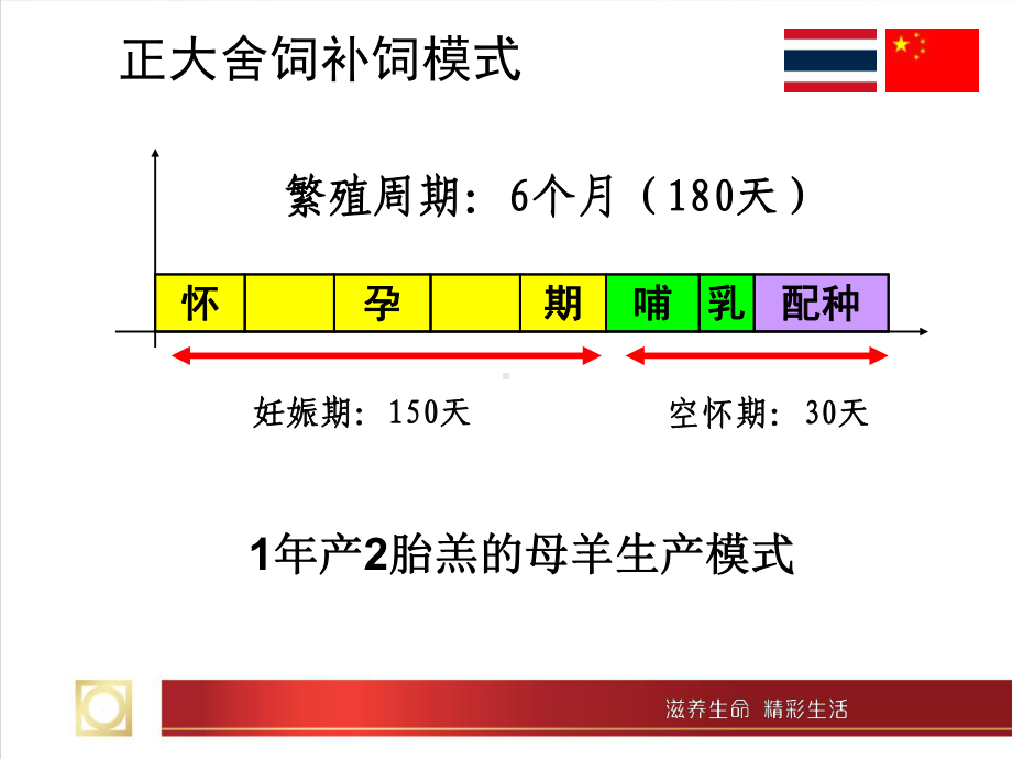 正大母子同补模式课件.ppt_第3页