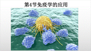 新教材《免疫学的应用》人教版1课件.pptx