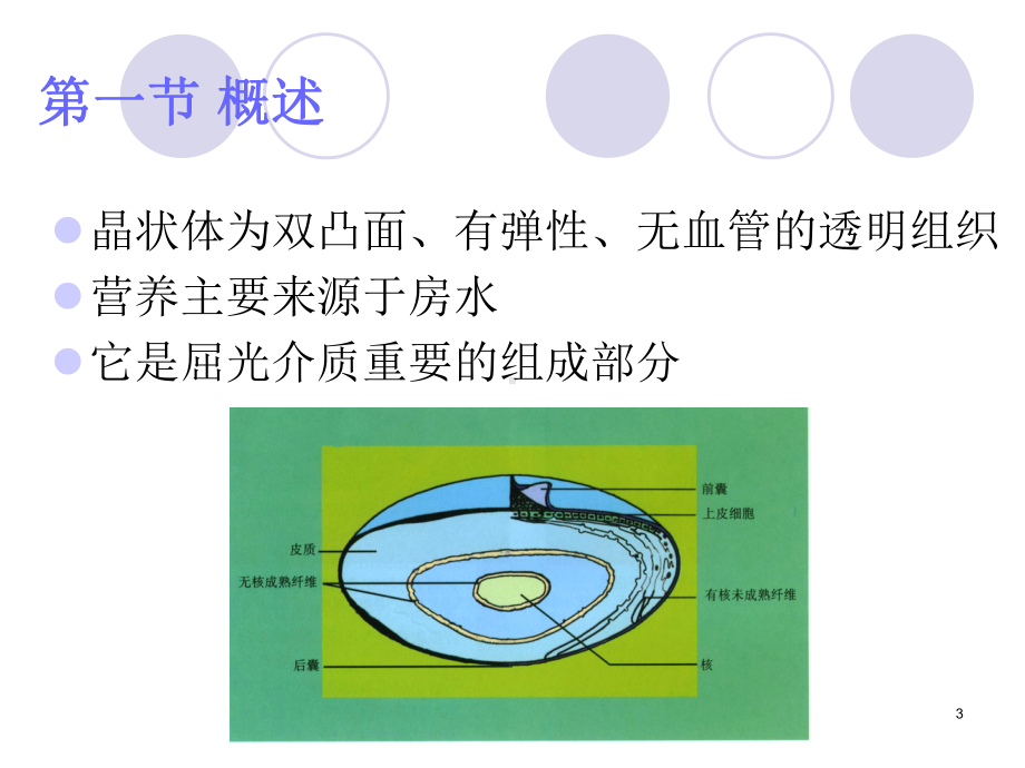 晶状体病)PPT课件.ppt_第3页