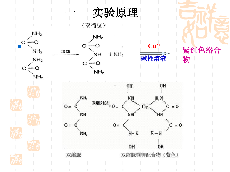 实验三双缩脲法测定蛋白质含量课件.ppt_第3页