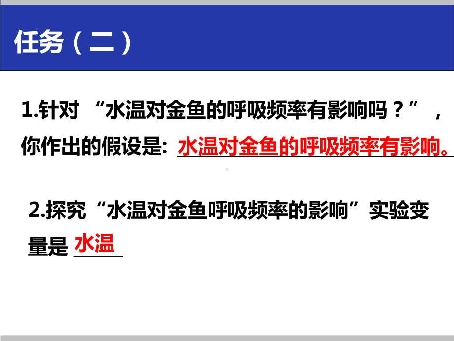水温对金鱼呼吸频率的影响课件.ppt_第3页