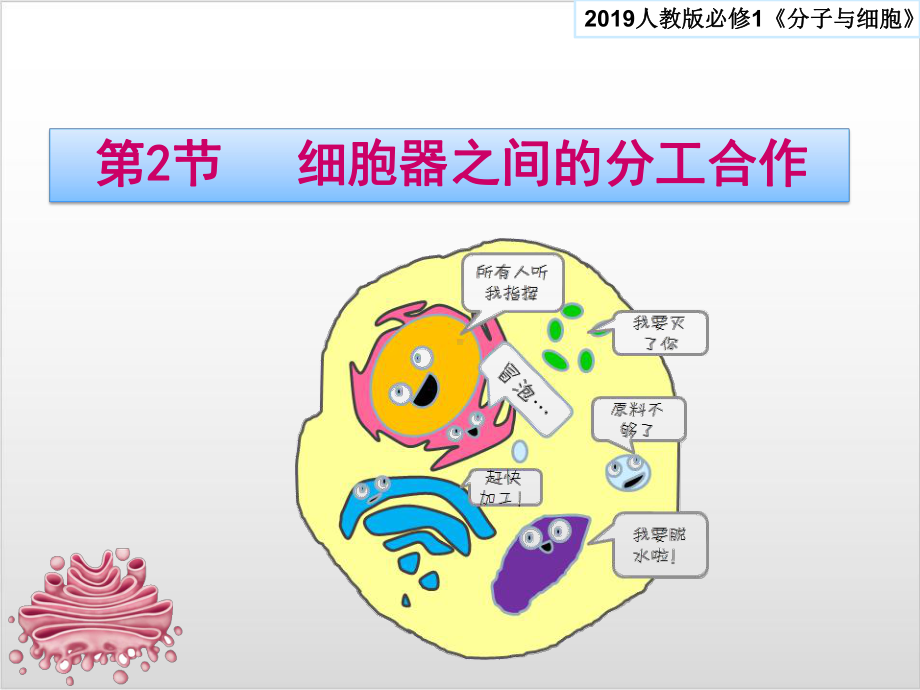 新教材《细胞器之间的分工合作》课件人教版1.pptx_第1页