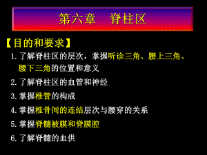 局部解剖第六章脊柱区课件.ppt