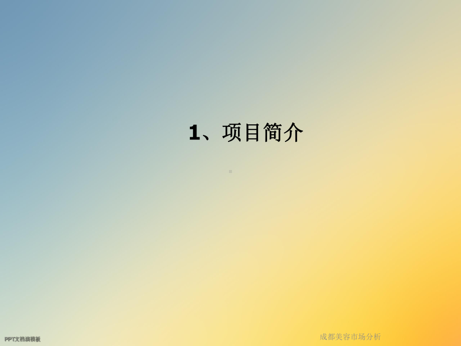 成都美容市场分析课件.ppt_第3页