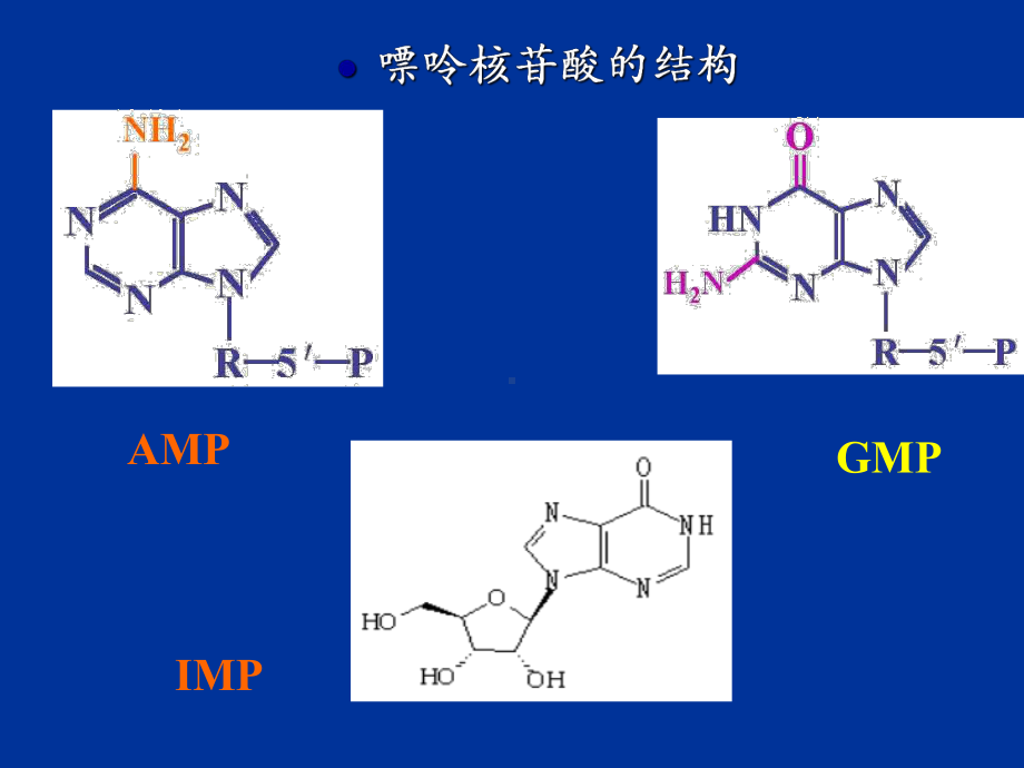 核酸发酵课件-PPT精选.ppt_第3页