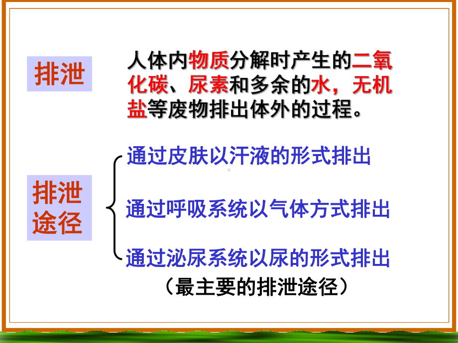 尿的形成浙教版课件.ppt_第2页