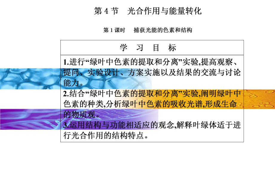 新教材《光合作用与能量转化》PPT完美课件人教版1.pptx_第2页