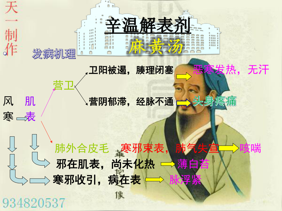 方剂学解表剂-ppt课件.ppt_第2页