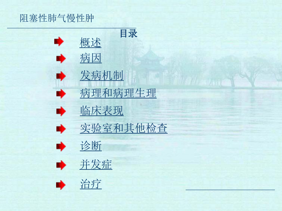 慢性阻塞性肺气肿课件(同名(1)).ppt_第2页