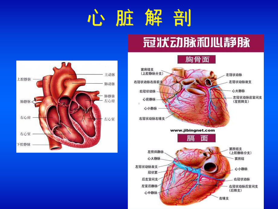 核医学-心血管系统课件.ppt_第3页