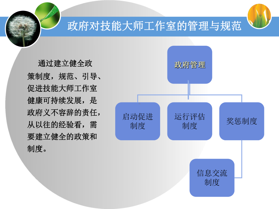 技能大师工作室建设政府管理讲解课件.ppt_第3页