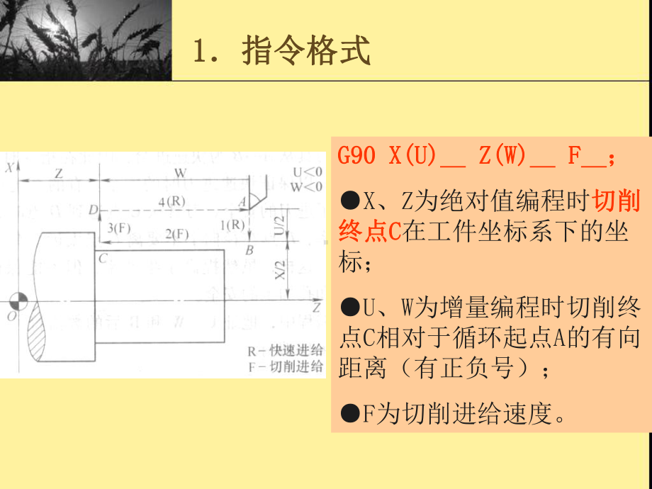 数控车床单一形状固定循环指令编程精选课件.ppt_第3页