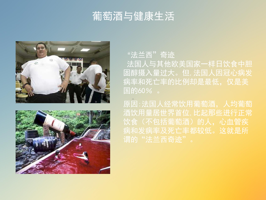 最全葡萄酒培训课件.ppt_第2页