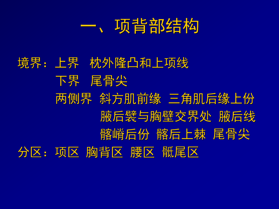 新编项背区、肩胛区及三角肌区解剖课件.ppt_第3页