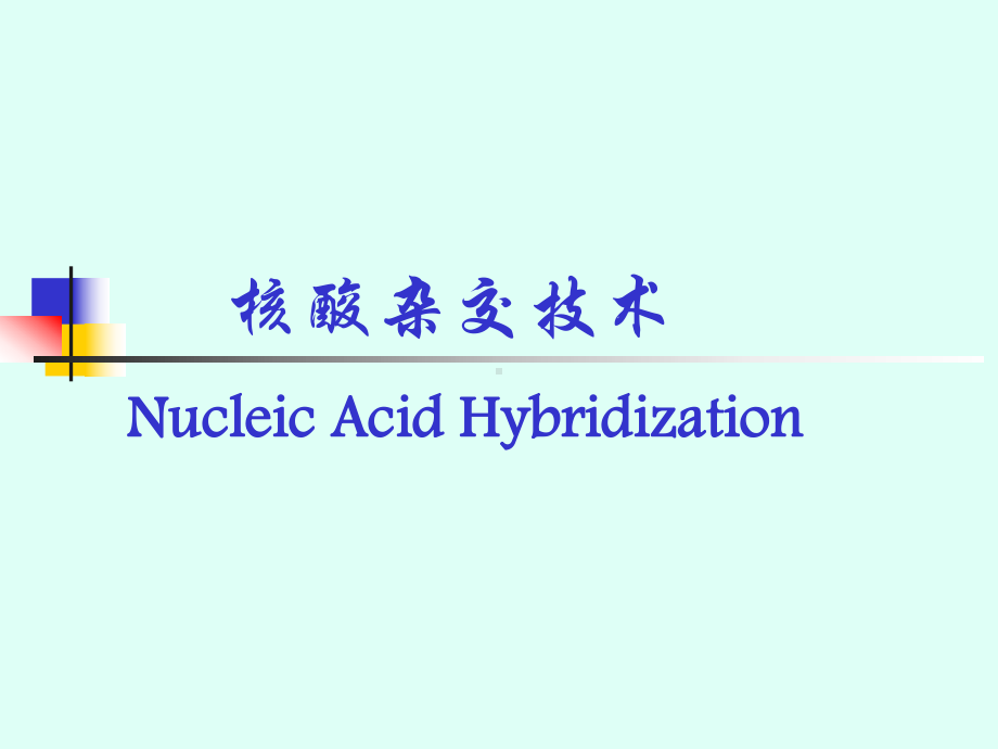 核酸杂交技术分子生物学课件.pptx_第1页