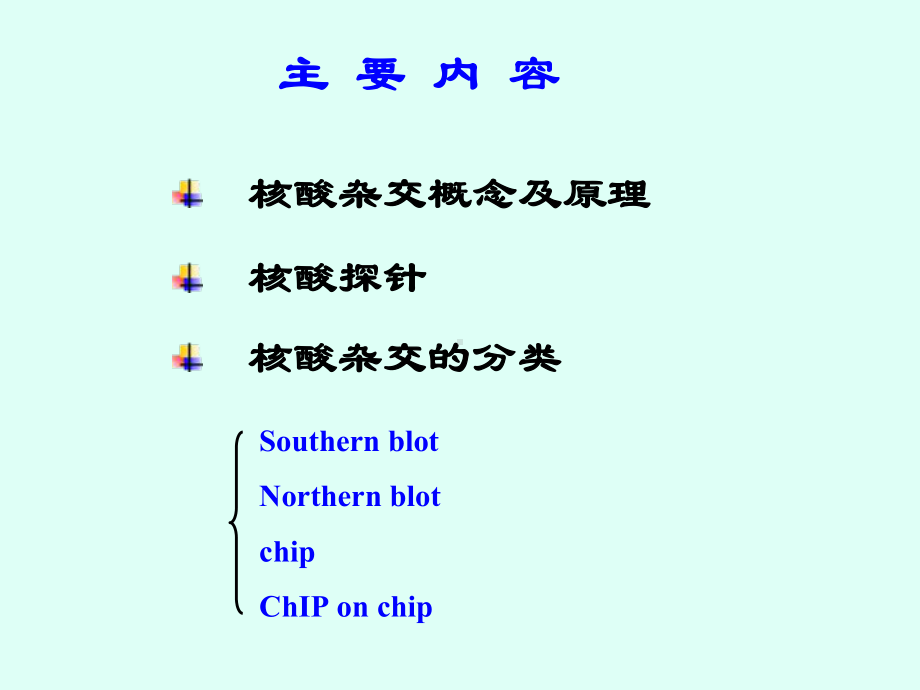 核酸杂交技术分子生物学课件.pptx_第2页