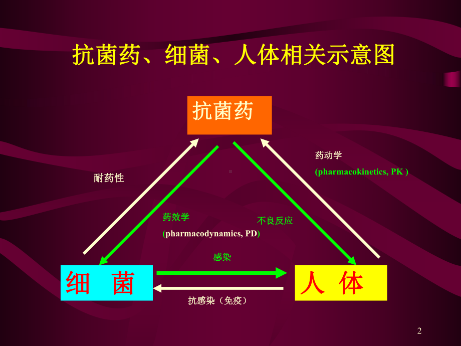 抗生素的应用与特点课件.ppt_第2页