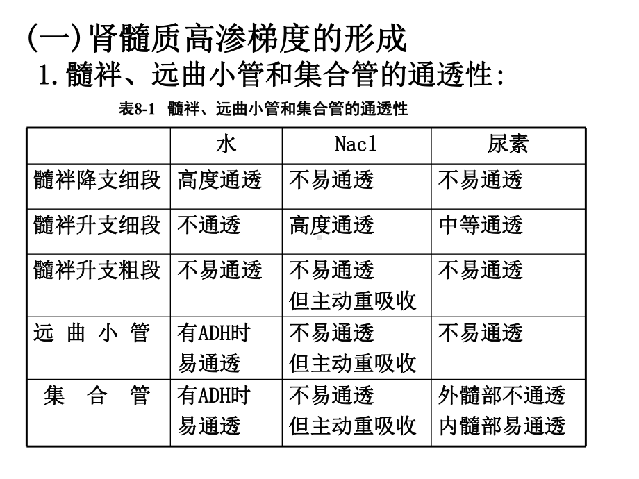 尿液浓缩、稀释的过程和机制课件.ppt_第3页