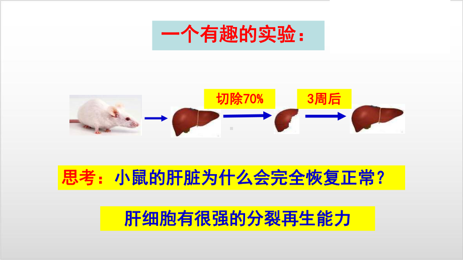 新教材《细胞的增殖》ppt课件人教版1.ppt_第2页