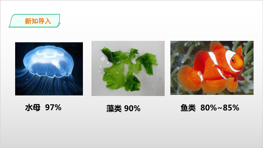 新教材《细胞中的无机物》课件人教版1-2.ppt_第2页