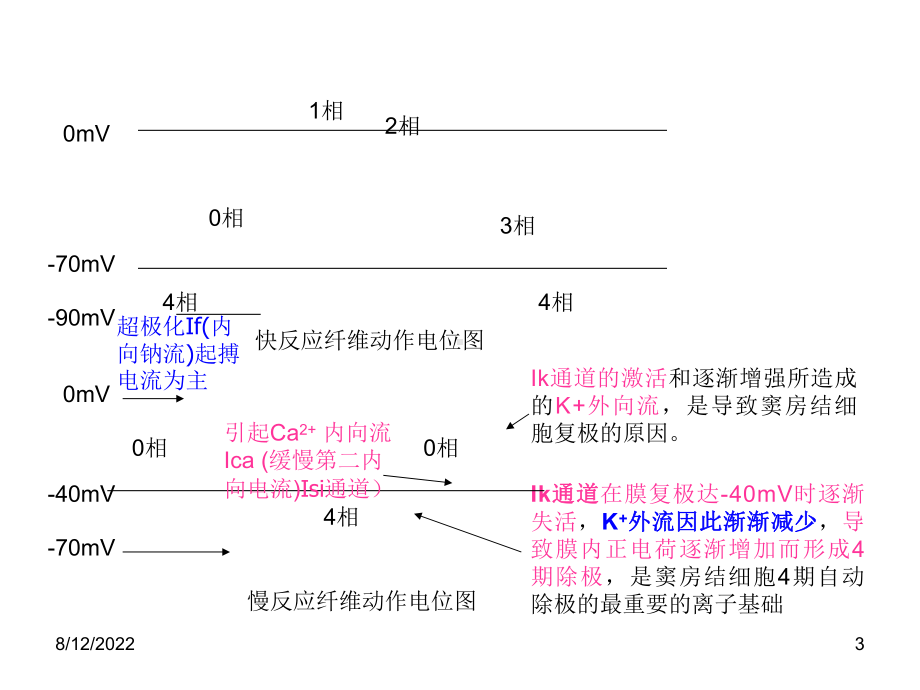 心律失常与中西医结合84张幻灯片.ppt_第3页