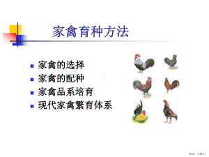 家禽育种方法课件.ppt