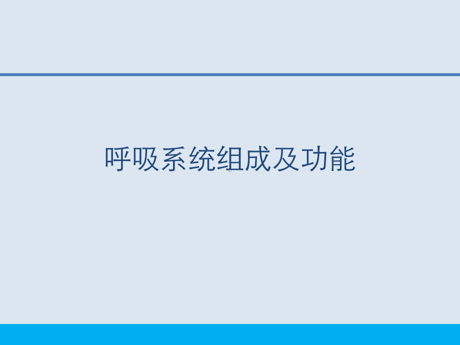 完整版呼吸系统解剖与呼吸生理课件.pptx_第3页