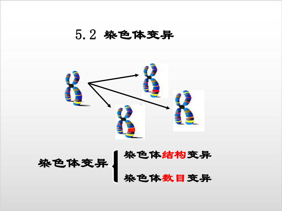 新教材《染色体变异》教学课件人教版1.ppt_第1页