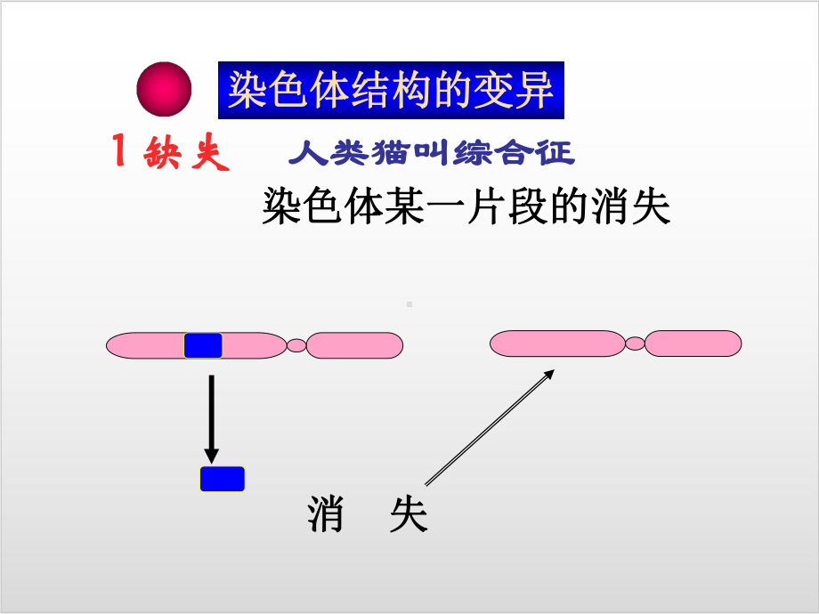 新教材《染色体变异》教学课件人教版1.ppt_第2页