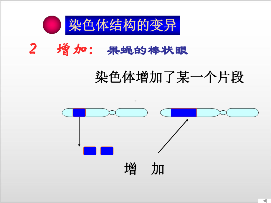 新教材《染色体变异》教学课件人教版1.ppt_第3页