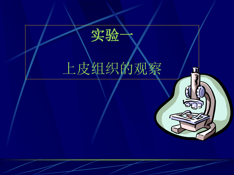 实验一上皮组织组织学与胚胎学实验课件.ppt_第1页