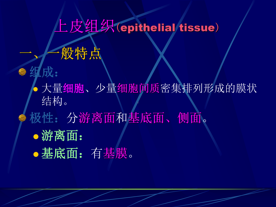 实验一上皮组织组织学与胚胎学实验课件.ppt_第2页