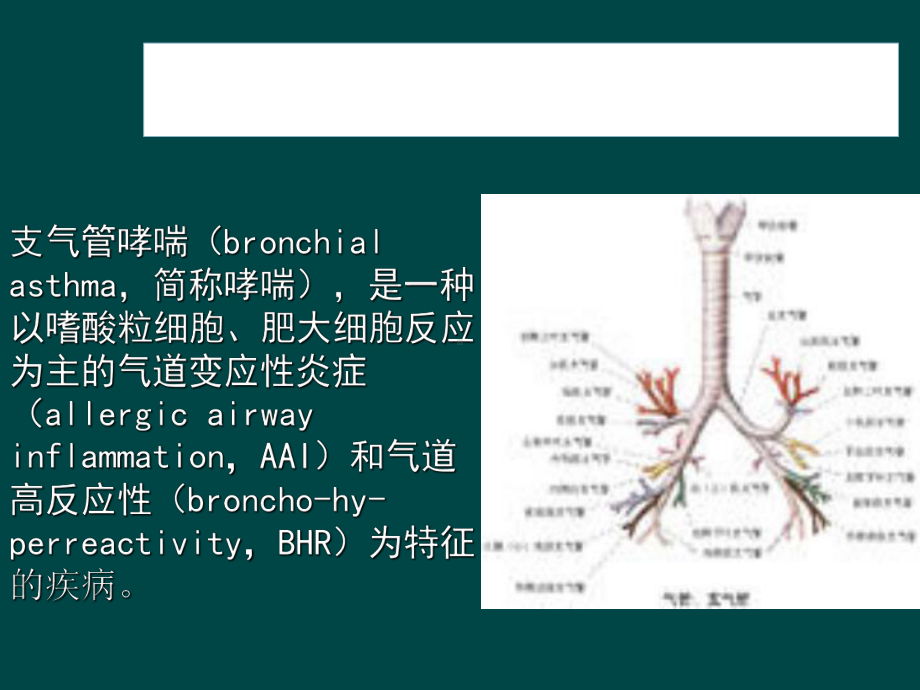 支气管哮喘护理查房.课件.ppt_第2页