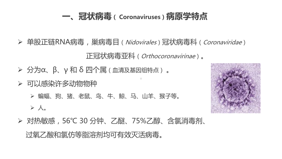 新型冠状病毒感染的肺炎诊疗课件.pptx_第3页