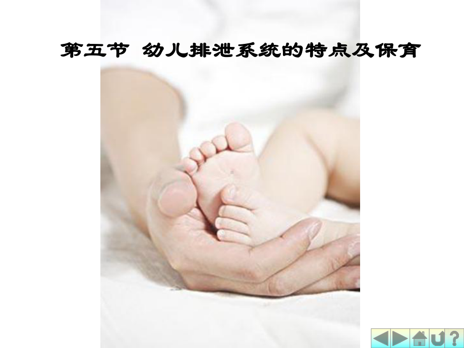 排泄系统与内分泌系统课件.ppt_第1页